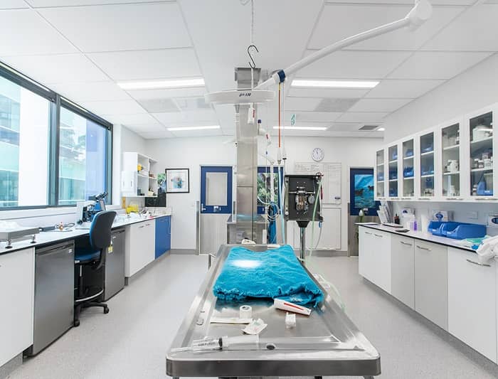 獸醫(yī)實(shí)驗(yàn)室設(shè)計(jì) 獸醫(yī)實(shí)驗(yàn)室設(shè)計(jì)